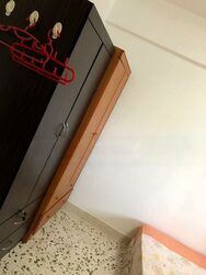 Blk 518 Bedok North Avenue 2 (Bedok), HDB 4 Rooms #476217301